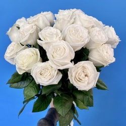Букет из 19 эквадорских роз
