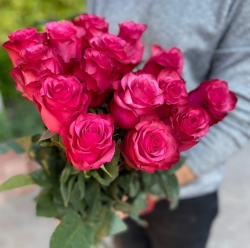 Роза ярко-розовая Эквадор
