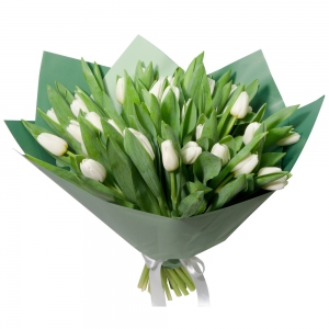 Белые тюльпаны 31