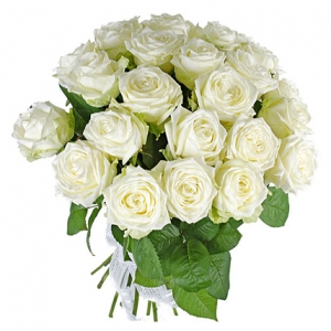 Элитные белые розы 25